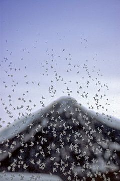 Winter in Davos, Zwitserland van Jon Vismans