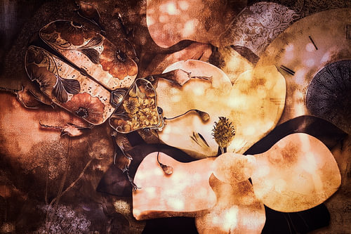 Op weg naar de grote Magnolia van Helga Blanke