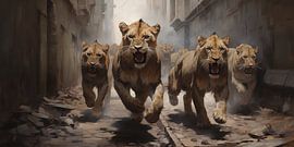 Asphaltjäger: Der Urban Lion Walk