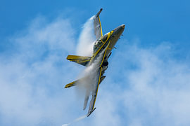 Royal Malaysian Air Force F/A-18D Hornet. von Jaap van den Berg
