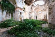 Verlaten Kerk met Planten. van Roman Robroek - Foto's van Verlaten Gebouwen thumbnail