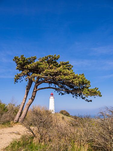 The lighthouse Dornbusch on the island Hiddensee
