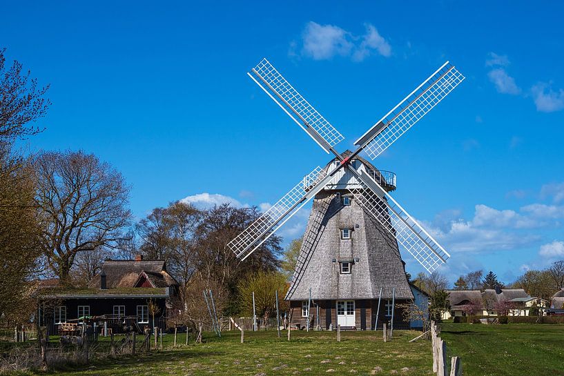 Historic windmill in Ahrenshoop on Fischland-Darß by Rico Ködder