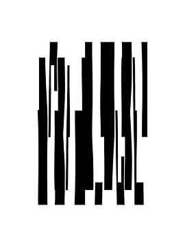 Organisch 18 | Zwart & Wit van Menega Sabidussi