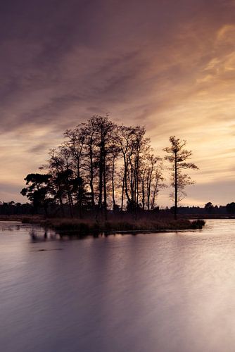Strabrechtse Heide 287
