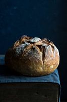 Brood