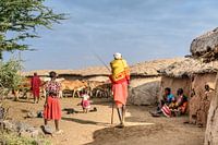 Kenia | White Mountain Movement 11