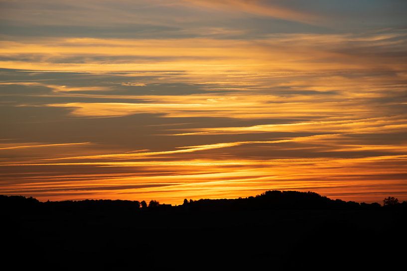 Twilightzone van Ingrid de Vos - Boom