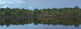 Autumn in Holtingerveld – Drenthe (Netherlands) by Marcel Kerdijk
