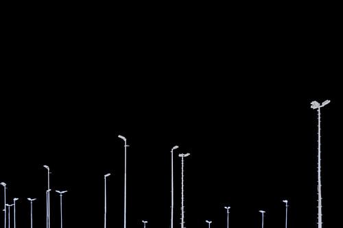 light poles in the dark