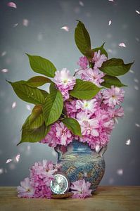 Kirschblüten Stillleben