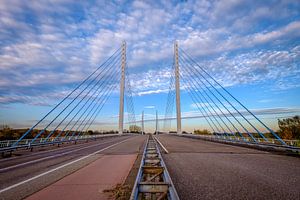 Kabel tuibrug van Godsheide van Johan Vanbockryck