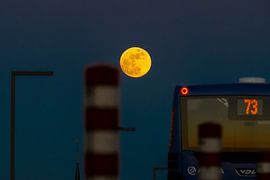 Linie 73 – Weert–Roermond von Bert van Leeuwen