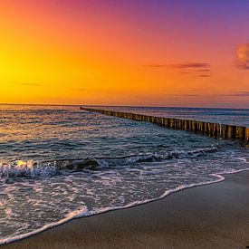 Michelle Peich photo de profil