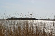 Blick auf das Naturschutzgebiet Lauwersmeer bei Ezumakeeg von Mark van der Werf Miniaturansicht
