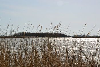 Zicht op natuurgebied Lauwersmeer bij Ezumakeeg