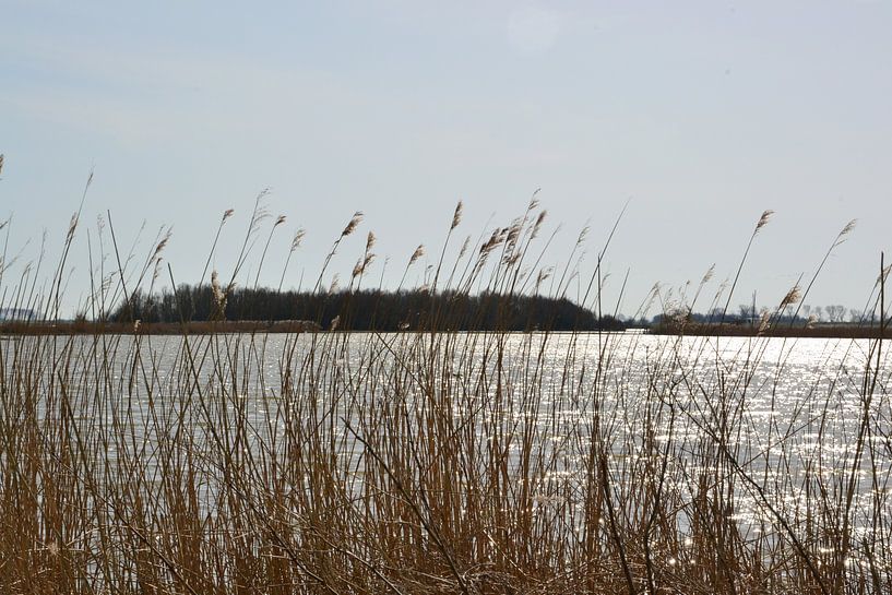 Blick auf das Naturschutzgebiet Lauwersmeer bei Ezumakeeg von Mark van der Werf