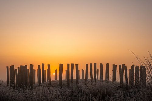 Sunny morning van Marc Houter