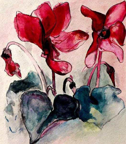 Cyclamen van Kay Weber