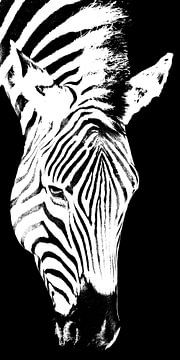 un zèbre monochrome mixed media