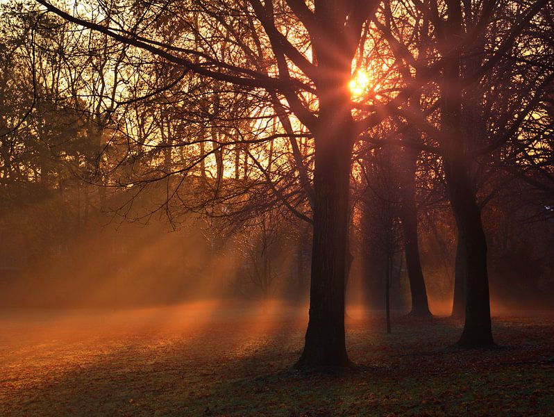 Ochtend 15 van Edgar Schermaul