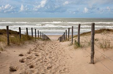 Duinen en zee in Holland en een pad naar het strand van Frans Rombout