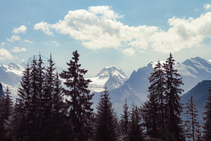 Berner Oberland -Eiger-Mönch-Jungfrau
