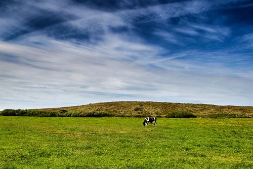 Wijds Terschellings landschap: blauwe hemel, groen gras en 1 koe von Paul Teixeira