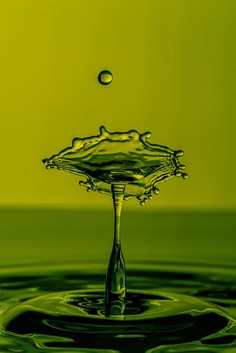 Le parapluie éclate