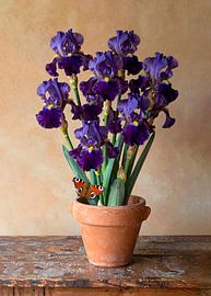 Stillleben: Blumentopf mit Iris