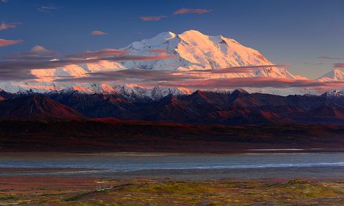 Denali National Park