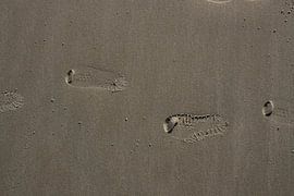 Footsteps to ... ? by Toekie -Art