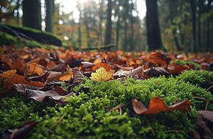 Spaziergang im Herbstwald