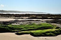 Ruige kust en groene rotsen op strand Zuid Afrika