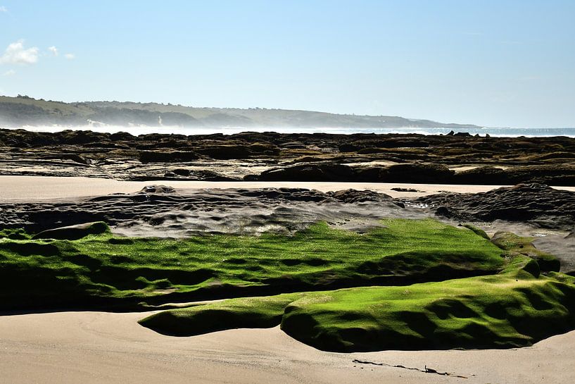 Zerklüftete Küste und grüne Felsen am Strand Südafrikas von Truus Hagen