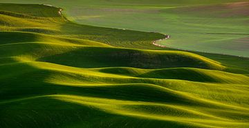 Groene golven in de Palouse, Verenigde Staten van Adelheid Smitt