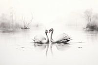 Schwan