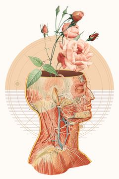 Anatomy of Nature by Marja van den Hurk