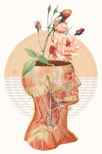 Anatomy of Nature