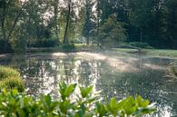 Nebliger Morgen am Teich im Park von Fotografiecor .nl Miniaturansicht