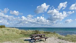 Rastplatz an der Küste,Insel Fehmarn,Ostsee von Peter Eckert