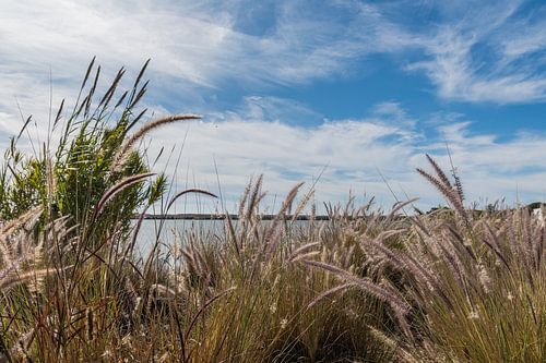 Quinta do Lago, Algarve, Portugal