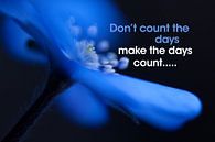 Quote: Don't count the days make the days count van Andrea Gulickx thumbnail
