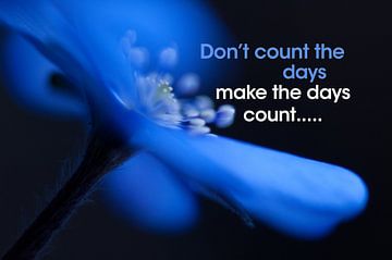 Quote: Don't count the days make the days count van Andrea Gulickx
