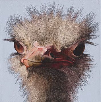 Struisvogel ostrich portret schilderij