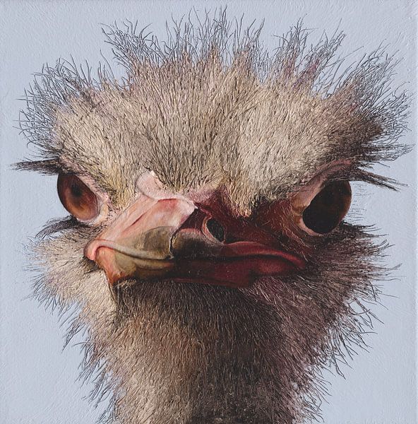 Struisvogel ostrich portret schilderij van Russell Hinckley