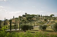 Toscaanse heuvels en laan van cipressen | Montepulciano