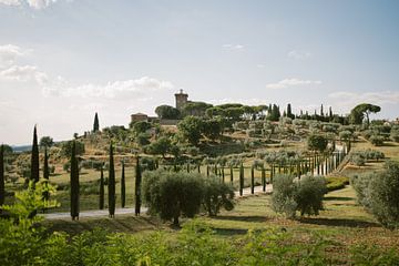 Tuscan hills and avenue of cypresses | Montepulciano by Eleana Tollenaar