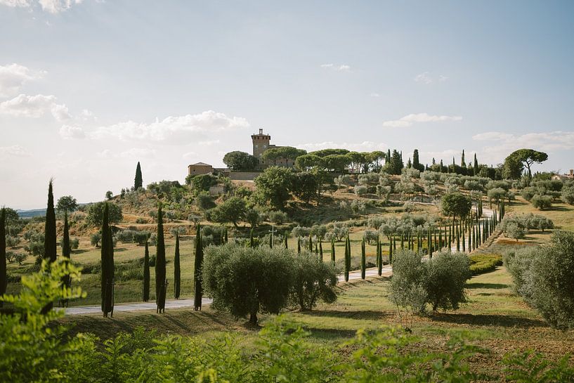 Tuscan hills and avenue of cypresses | Montepulciano by Eleana Tollenaar