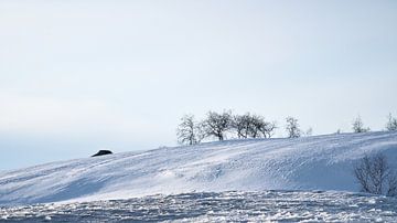 Noors hooggebergte, besneeuwde bergen en landschap van Martin Köbsch